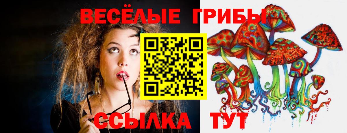 Борисоглебск  Псилоцибиновые грибы Cubensis  Вход с VPN 